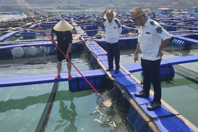 節前水產品質量檢查 守護舌尖上的安全